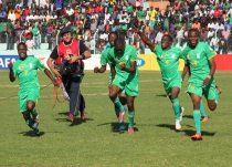 Warriors in narrow win over Mambas 