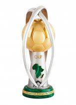 Orange African Nations Championship-South Africa 2014 Finals 