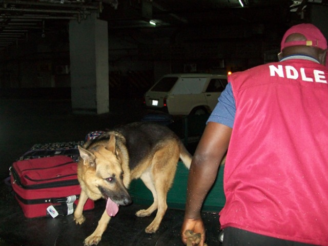 ndlea_2