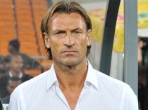 Renard named new Ivorian coach