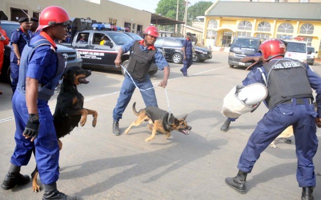 k9-team-nscdc