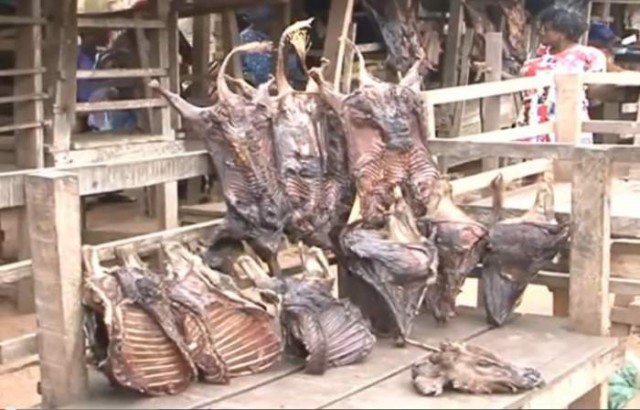nigeria-bush-meat-selling