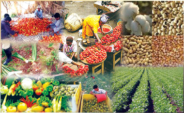 Agriculture