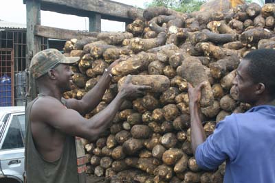 loading-yam