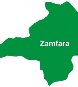 zamfaraTS-300x332