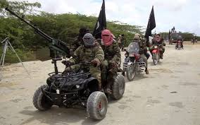 Boko Haram insurgents