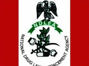NDLEA-Logo15-300x224