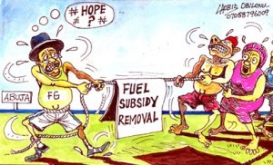 fuel subsidy