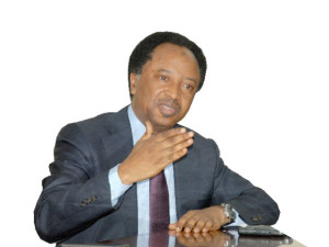 Shehu-Sani