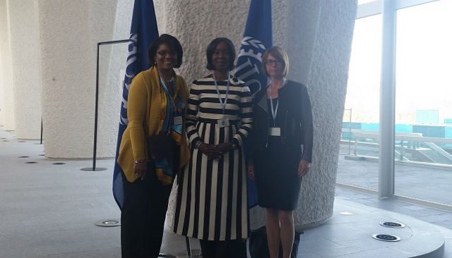 Her Excellency Mrs Toyin Saraki at The 2015 Accountability for Women's Children's and Adolescent's Health Stakeholder Meeting, Geneva