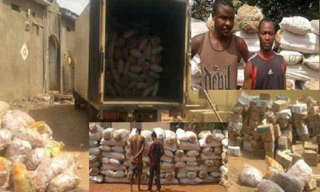NDLEA-Nabs-Two-Cannabis-Smugglers