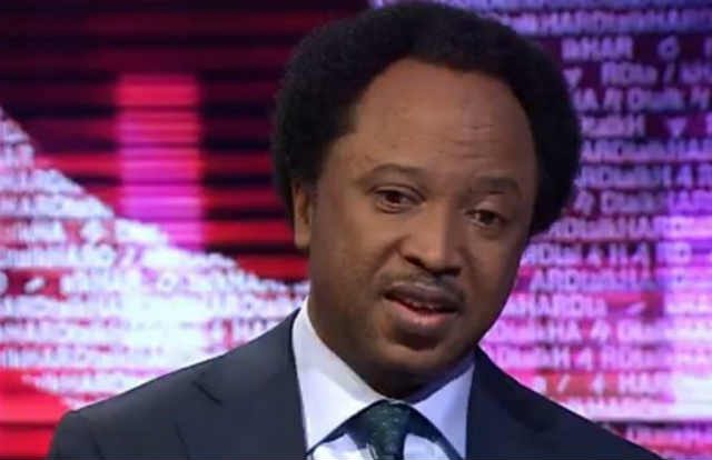 Senator Shehu Sani