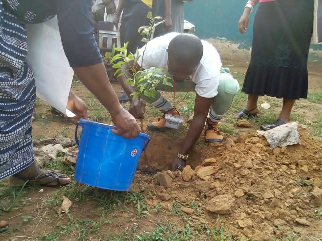 NYSC Member Godshield Kanjal flagged off over 6000 economic tree planting exercise 1