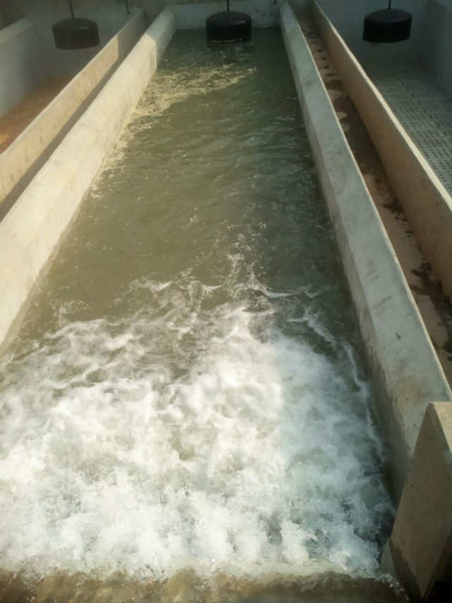 Ebonyi State SDGs Water Projects IMG 20161218 WA0009