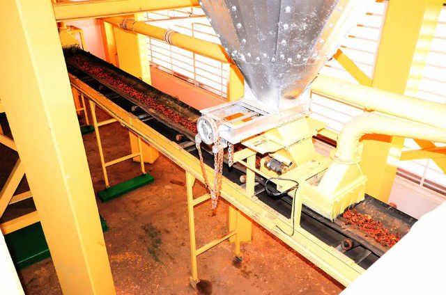 Ede Cocoa Industry4