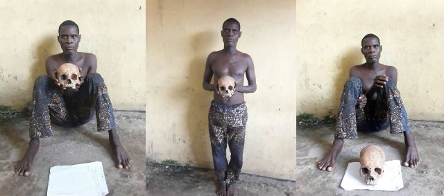 Lucien Tosume In Possession Of Human Skull