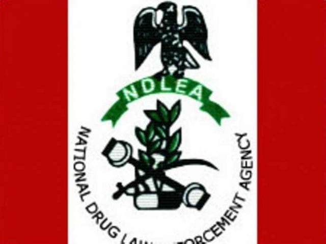 National Drugs Law Enforcement Agency NDLEA Logo