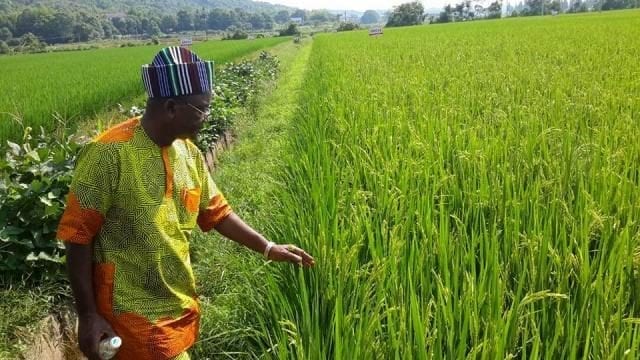 Benue State Governor Samuel Ortom when he visited the demonstration farm of the Yuan's Seed Company in Changsha, Hunan Province in China