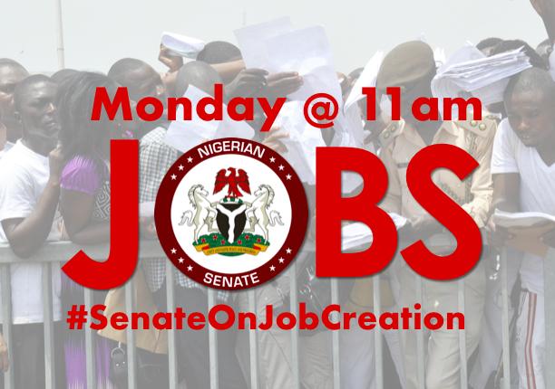 Senate Holds Public Hearing on Job Creation Monday 1