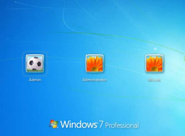 Windows 7 Professional Logon Screen
