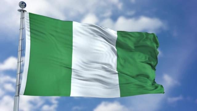 Nigerian Flag