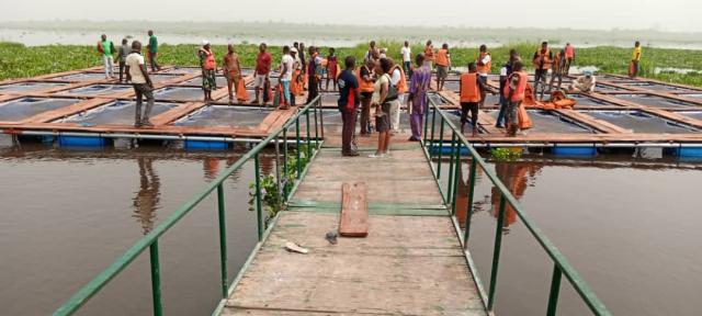 Lagos State empowers 40 Youth Fish Farmers with Cage Culture Farming