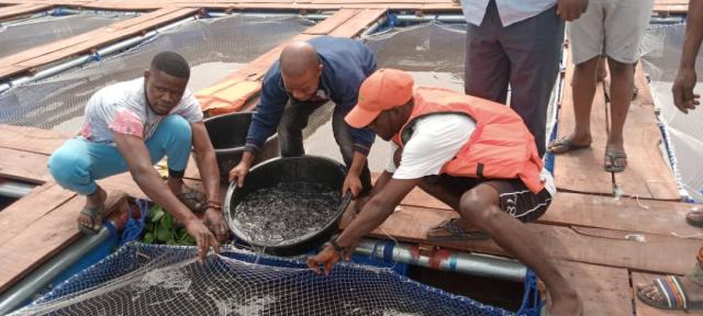 Lagos State empowers 40 Youth Fish Farmers with Cage Culture Farming