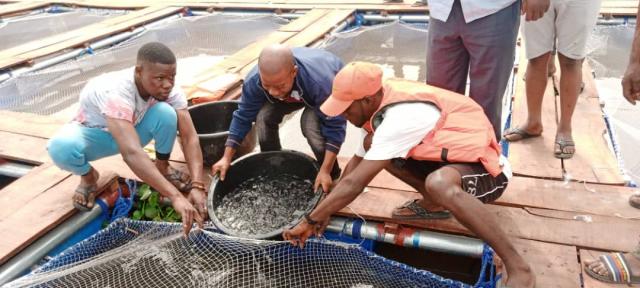 Lagos State empowers 40 Youth Fish Farmers with Cage Culture Farming