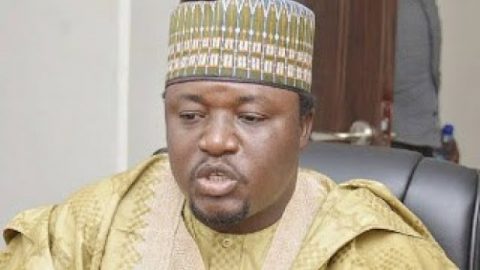 Arewa Youths Slam Southern Governors Over Death Of Northerners 1 AYCF National President, Yerima Shettima