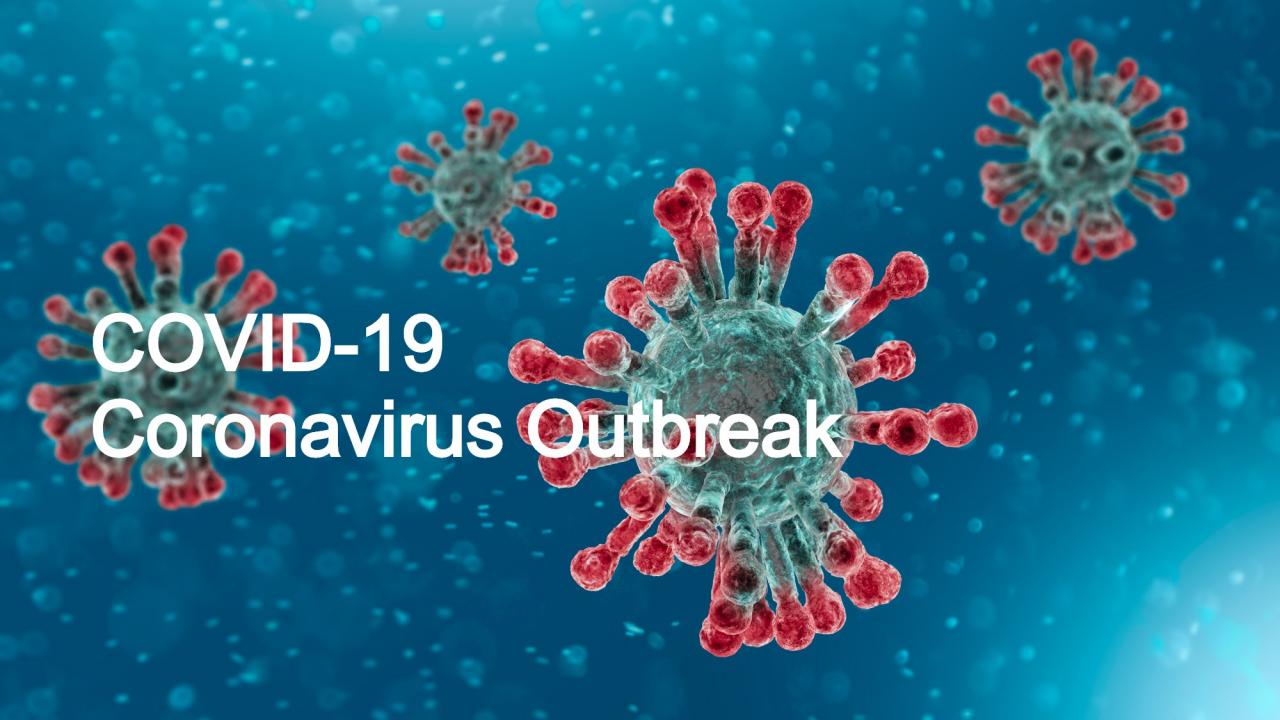 COVID-19 Coronavirus Pandemic