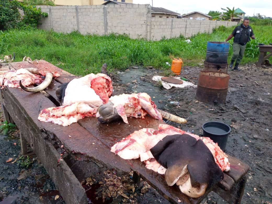 Illegal slaughter slab in the Oke Rube Area of Alimosho Local Government of Lagos State