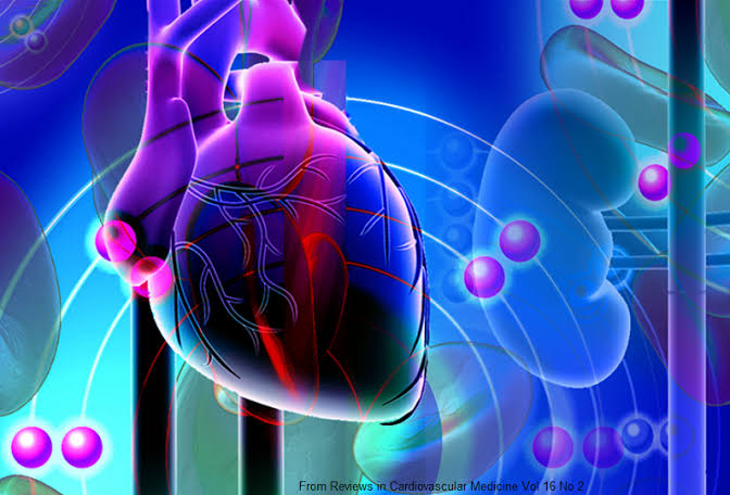 38.1% Of Deaths In Nigeria Are Caused By Cardiovascular Diseases - WHO 1 Heart