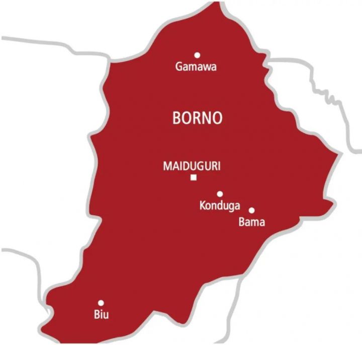 Borno State Map