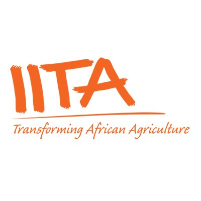 IITA Iniatiates Cassava Seed System In The Niger Delta 1 IITA