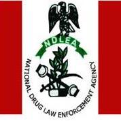 NDLEA Effects The Promotion Of It's Staff 1 NDLEA