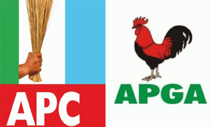 All Progressive Congress (APC) and All Progressives Grand Alliance (APGA)