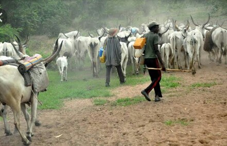 Suspected Herdsmen Kill Two Aide Workers, Volunteer In Benue 1 herdsmen