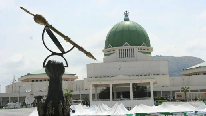 Apc Chieftain Calls For Unicameral Legislature To Cut Governance Costs 1 National Assembly, NASS