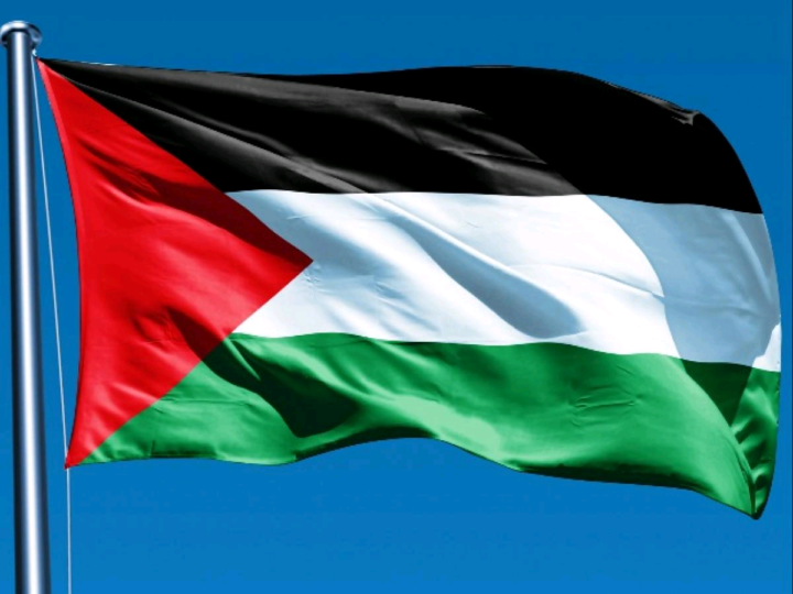 Palestine Flag