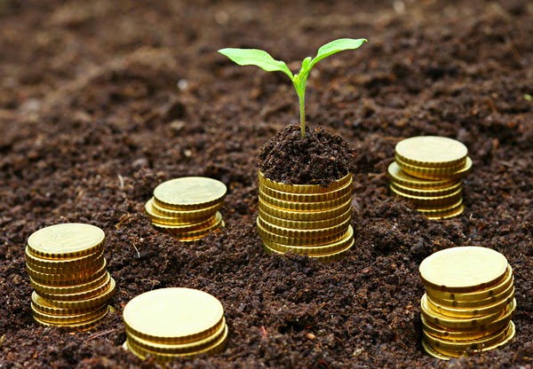 Nigerian banks resilient, safe, sound, CBN insists. 1 Bank coins