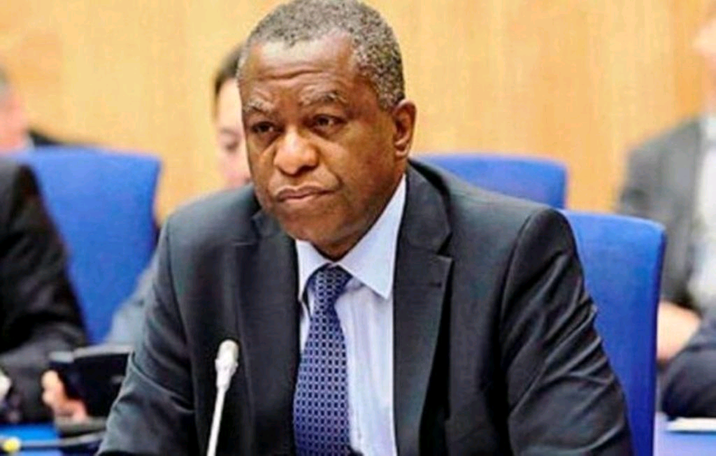 Ex Minister Geoffrey Onyeama, Closes Defamation Suit Against Former Ambassador Lilian Onoh 1 Geoffrey Onyeama
