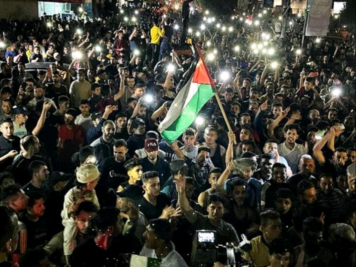 Palestine Protest Against Israeli