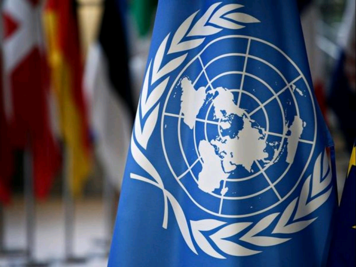 Un Calls For Release Of Saudi Woman Sentenced To 34 Years For Tweeting 1 United Nations