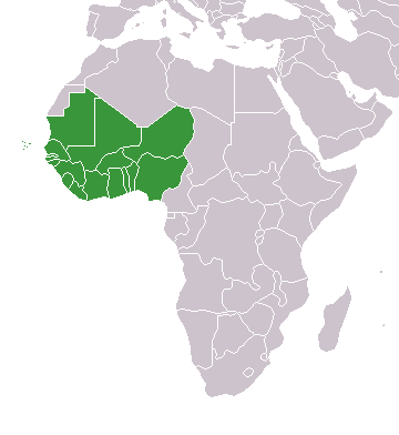 West Africa