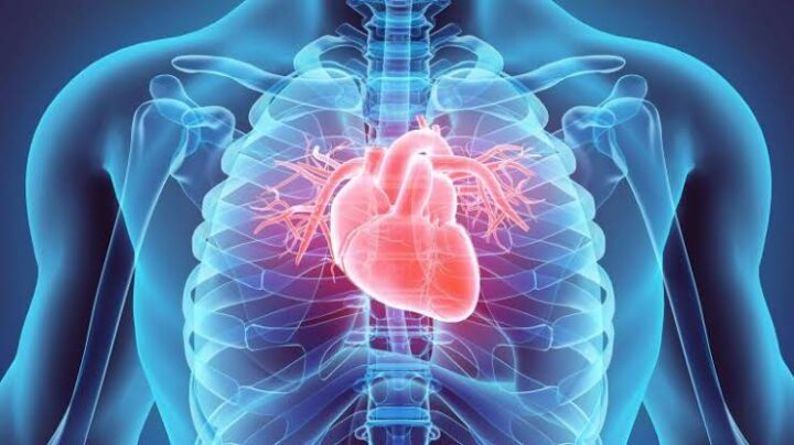Likely increase in heart disease in Nigeria - Expert 1 Heart disease