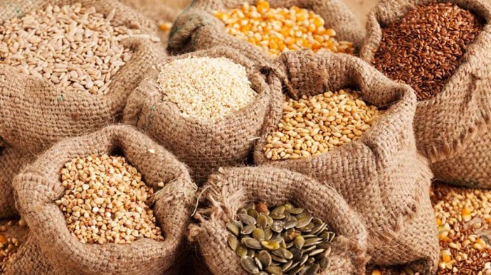 50% of seeds used in West Africa supplied from Nigeria – NASC 1 Seeds
