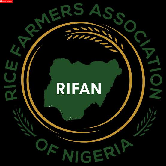 RIFAN says there will be availability of local rice and explains why foreign rice smuggling persists 1 RIFAN