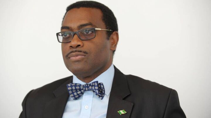 2023: Adesina Denies Endorsing Tinubu For Presidency 1 Akinwunmi Adesina
