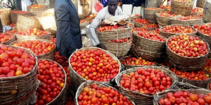 Tomato-scarcity