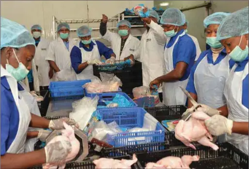 NatnudO Foods Empowers Varsity Students with Agricultural Inputs 1 NatnudO Foods